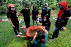 Program Kompos Kolektif...