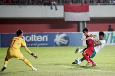 Bungkam Vietnam, Garuda...