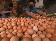 Harga Telur di Banten...