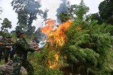 BNNP Aceh Bersama TNI...