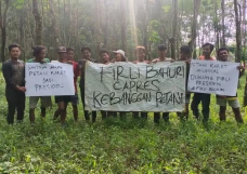 Petani Karet Milenial...