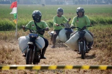 Balap Motor Ojek Gabah...