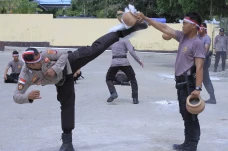 Atraksi Bela Diri Anggota...