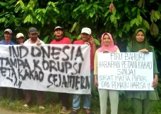 Komunitas Petani Kakao...