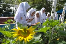 Serunya Bercocok Tanam...
