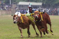 Beradu Cepat di Lomba...
