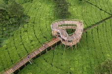 Wisata Alam Kebun Teh...