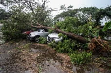 Mobil Tertimpa Pohon...