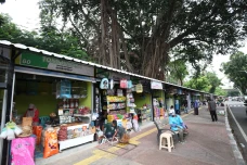 Wajah Baru Pasar Hewan...