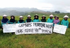 Pemetik Teh Cianjur...