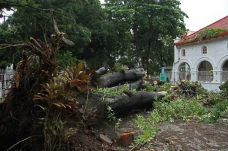 2 Pekerja Renovasi Gedung...