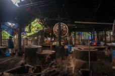 Harga Kedelai Naik Hingga...