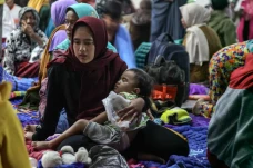 Terdampak Awan Panas...