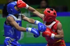 Wushu Sanda Indonesia...