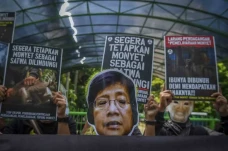 Aksi Dukung Monyet Sebagai...