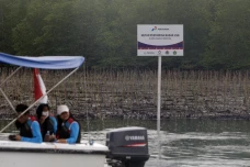 Peresmian Hutan Pertamina...
