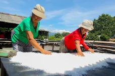 Melihat Produksi Garam...