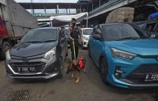Anjing Pelacak Dikerahkan...