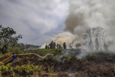 Kebakaran Hutan dan...