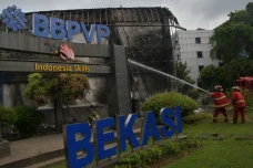 Kebakaran Gedung BBPVP...