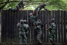 Melihat Ketangkasan...