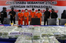 Polda Riau Amankan 276...