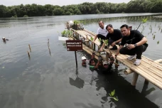 Peluncuran Layanan Meratus...