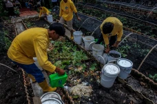 Peringatan Hari Peduli...