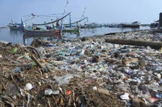 Pantai Panarukan Situbondo...