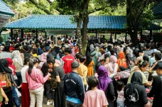 Ribuan Pengunjung Padati...