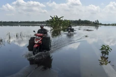 Kawasan Lumbung Padi...