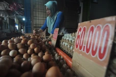 Harga Telur di Bengkulu...