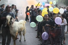 Tradisi Pawai Hewan...