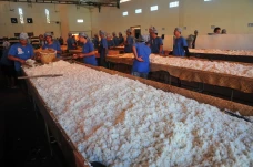 Persiapan Tradisi Membagi...
