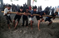 Atraksi Bambu Gila di...