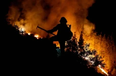 Kebakaran Hutan Semakin...