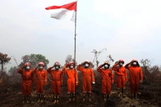 Greenpeace Indonesia...