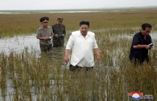 Potret Blusukan Kim...