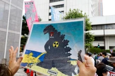 Bawa Poster Godzilla,...