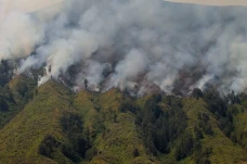 Kebakaran Hutan dan...
