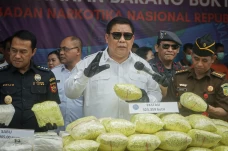 BNN RI Musnahkan Ratusan...