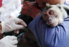 Vaksinasi Rabies Gratis...