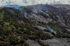 Sempat Padam, Bromo...