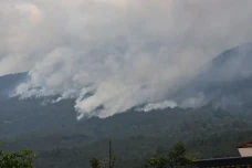 Lebih dari 150 Hektare...