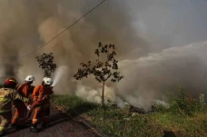 Kebakaran Lahan di Kawasan...