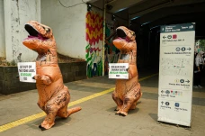 Penampakan Dinosaurus...