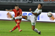 Persija Bangkit, Macan...
