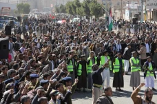 Bela Palestina, Ratusan...