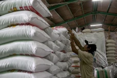 Harga Beras Naik, Pemerintah...
