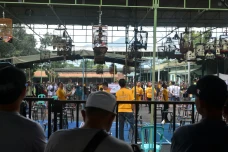 Serunya Lomba Kicau...